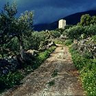 Wohnturm am Ende der Strasse. Mani. GR.  ..DSC_6946