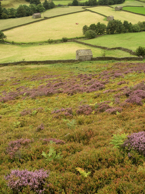 Wohnung frei im Swaledale