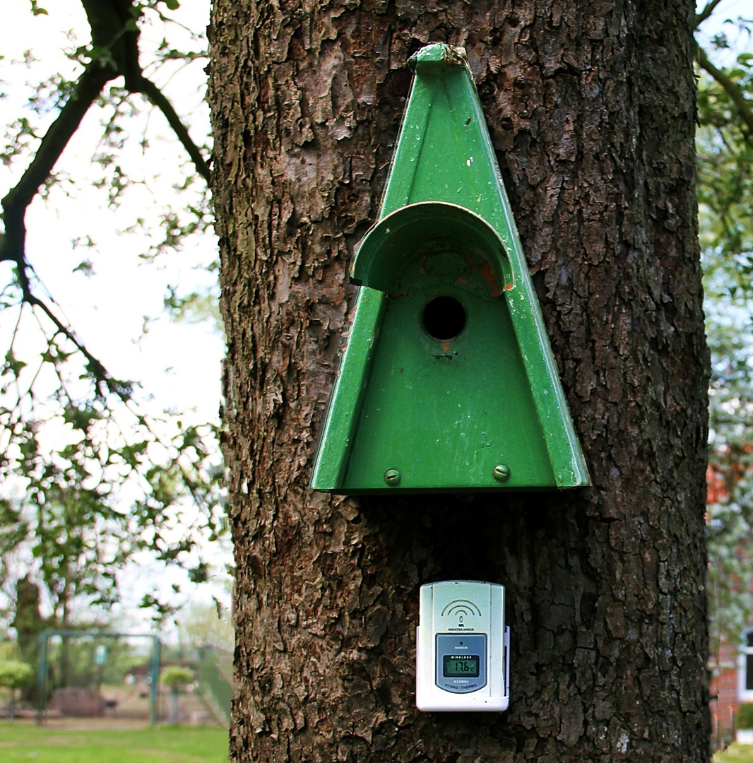 Wohnung zu vermieten ... Foto & Bild | sonstiges, natur ...