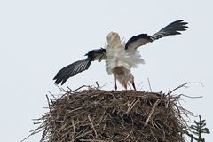 Wohnungsbesichtigung