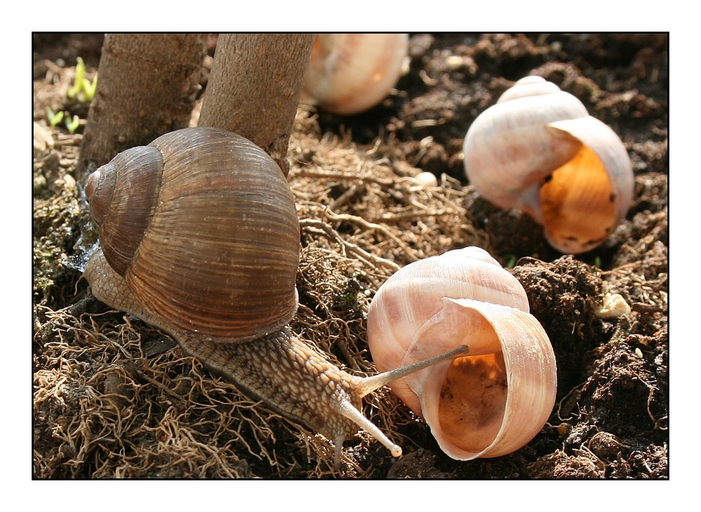 Wohnungsbesichtigung