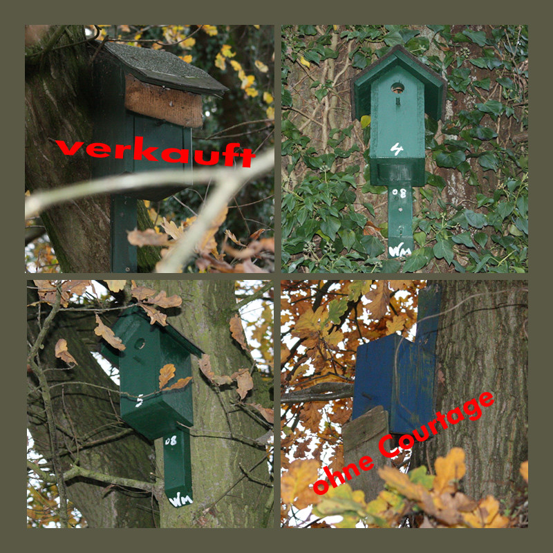 Wohnungsmarkt im Herbst 2008