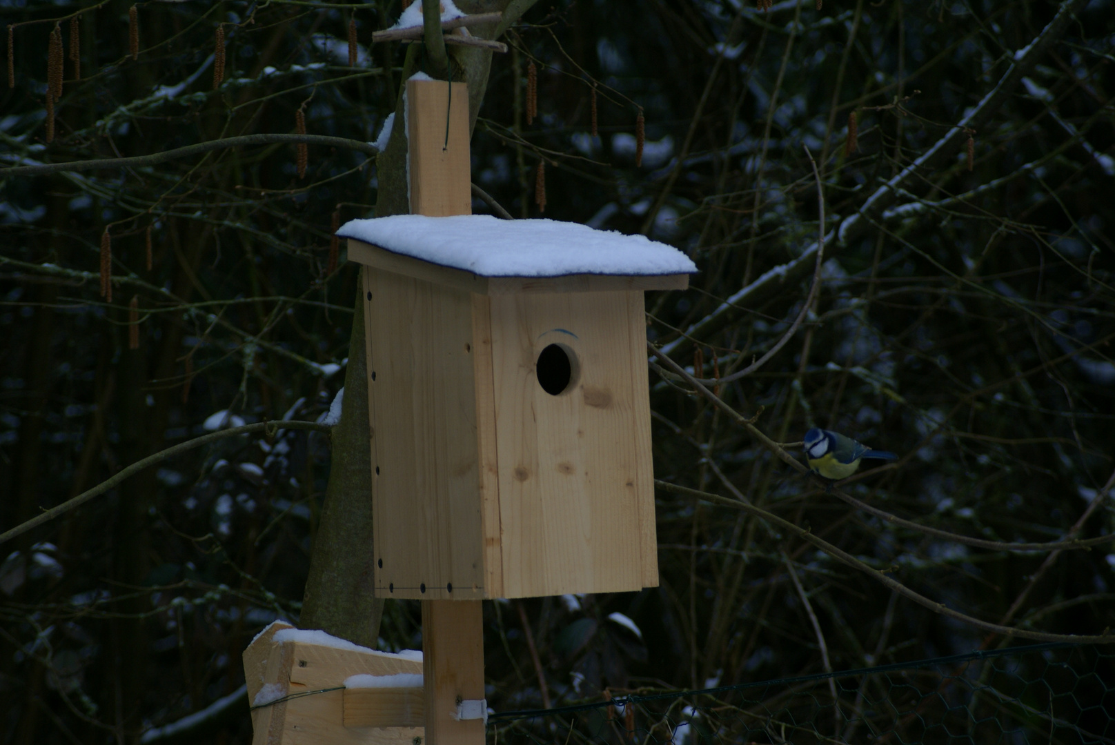 Wohnungssuche