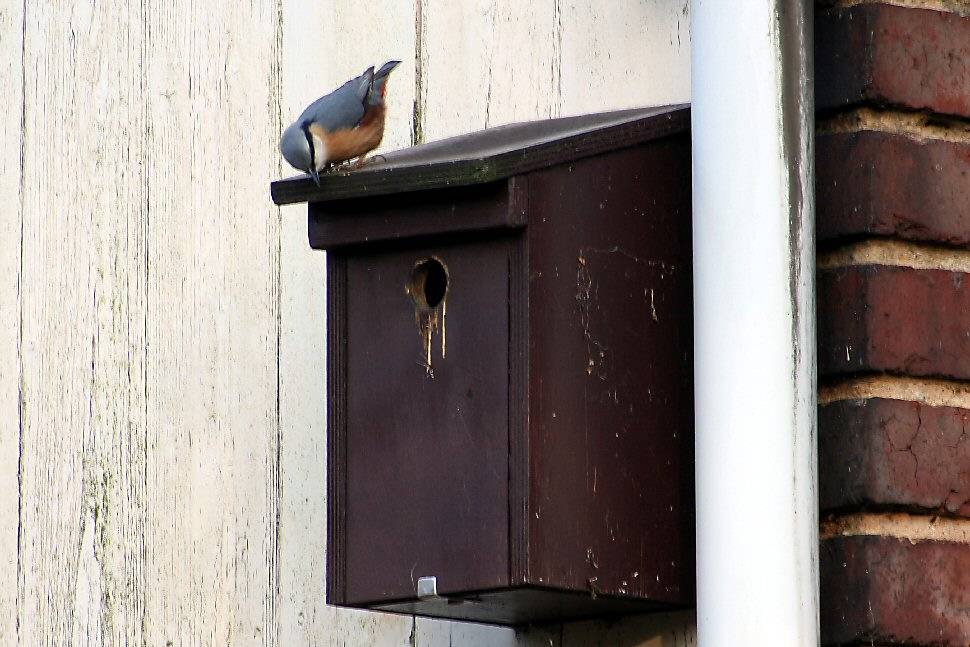 Wohnungssuche