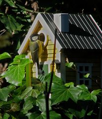 Wohnungssuche