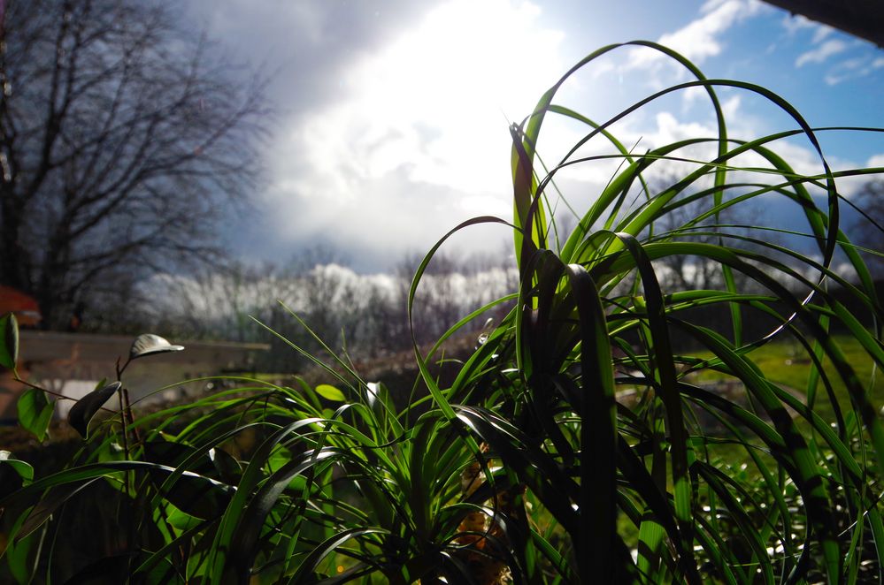 Wohnzimmerfenster Foto & Bild | alltagsdesign, meine foto`s, motive