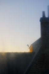 Woken by the seagulls