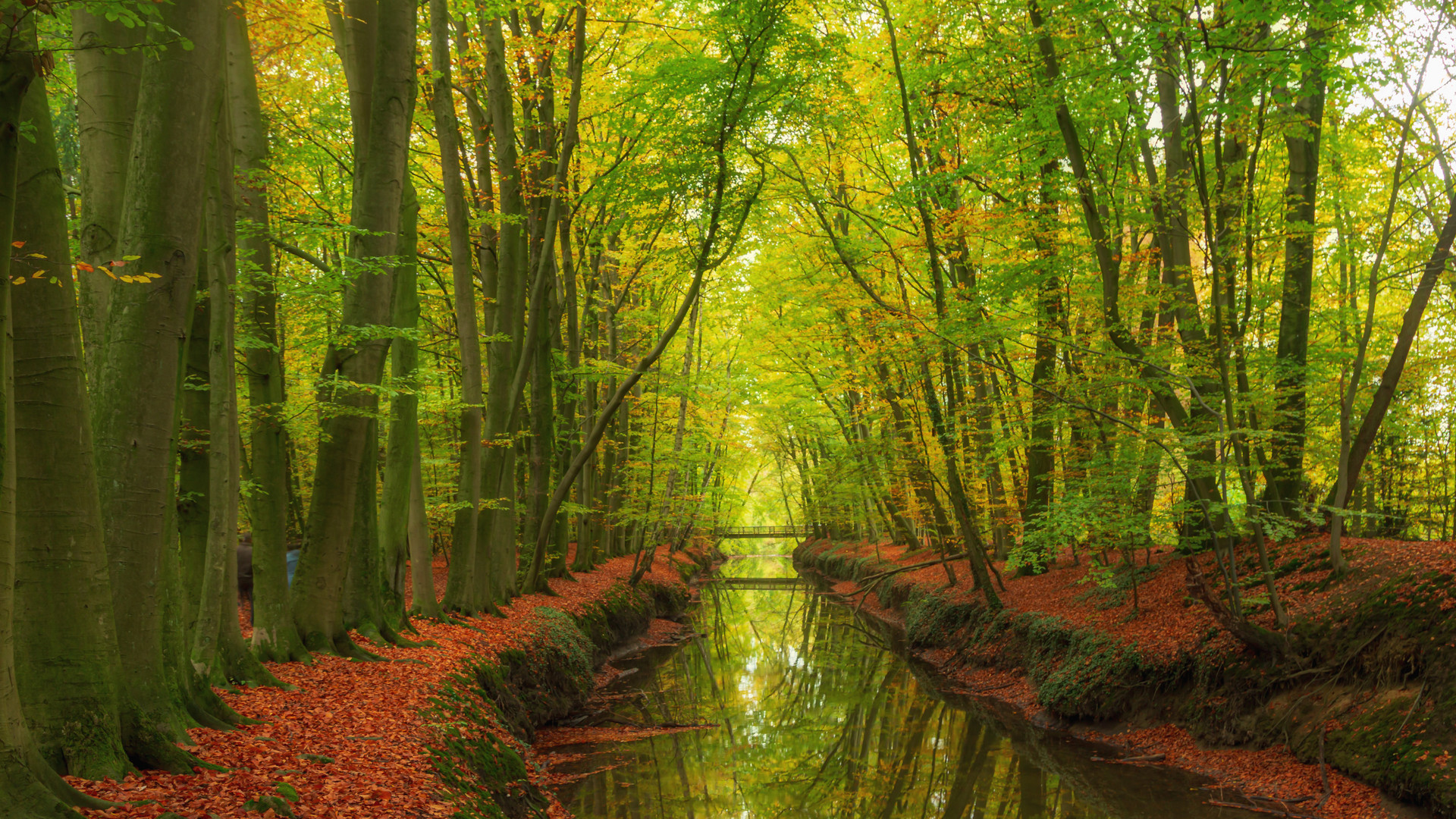 Wolbecks-Tiergarten