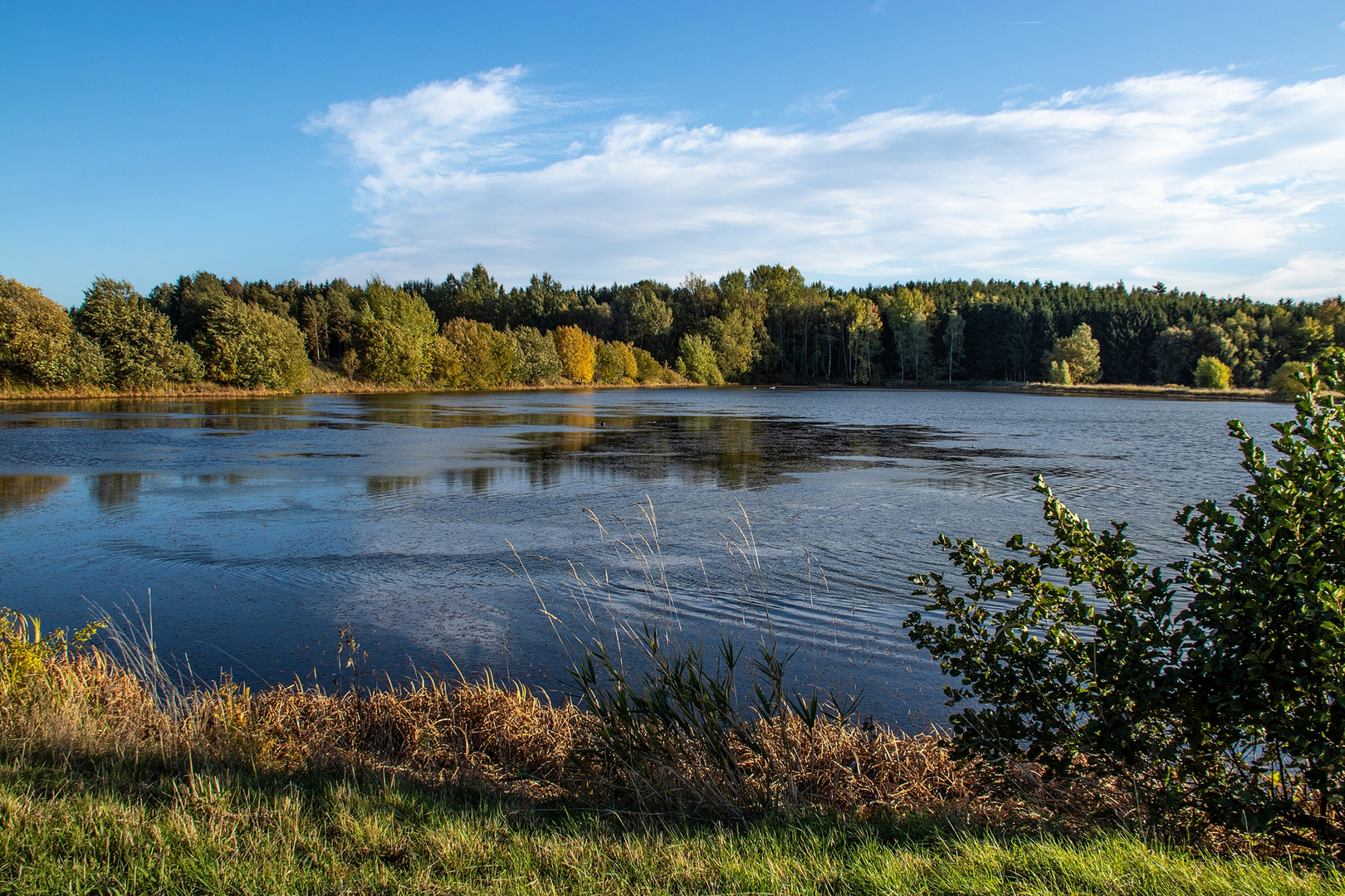  (Wolcheteiche) südwestlich von Auma 