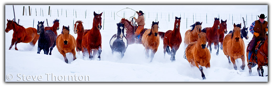 Wolcott, Colorado, USA