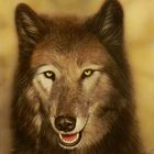 Wolf - Airbrush