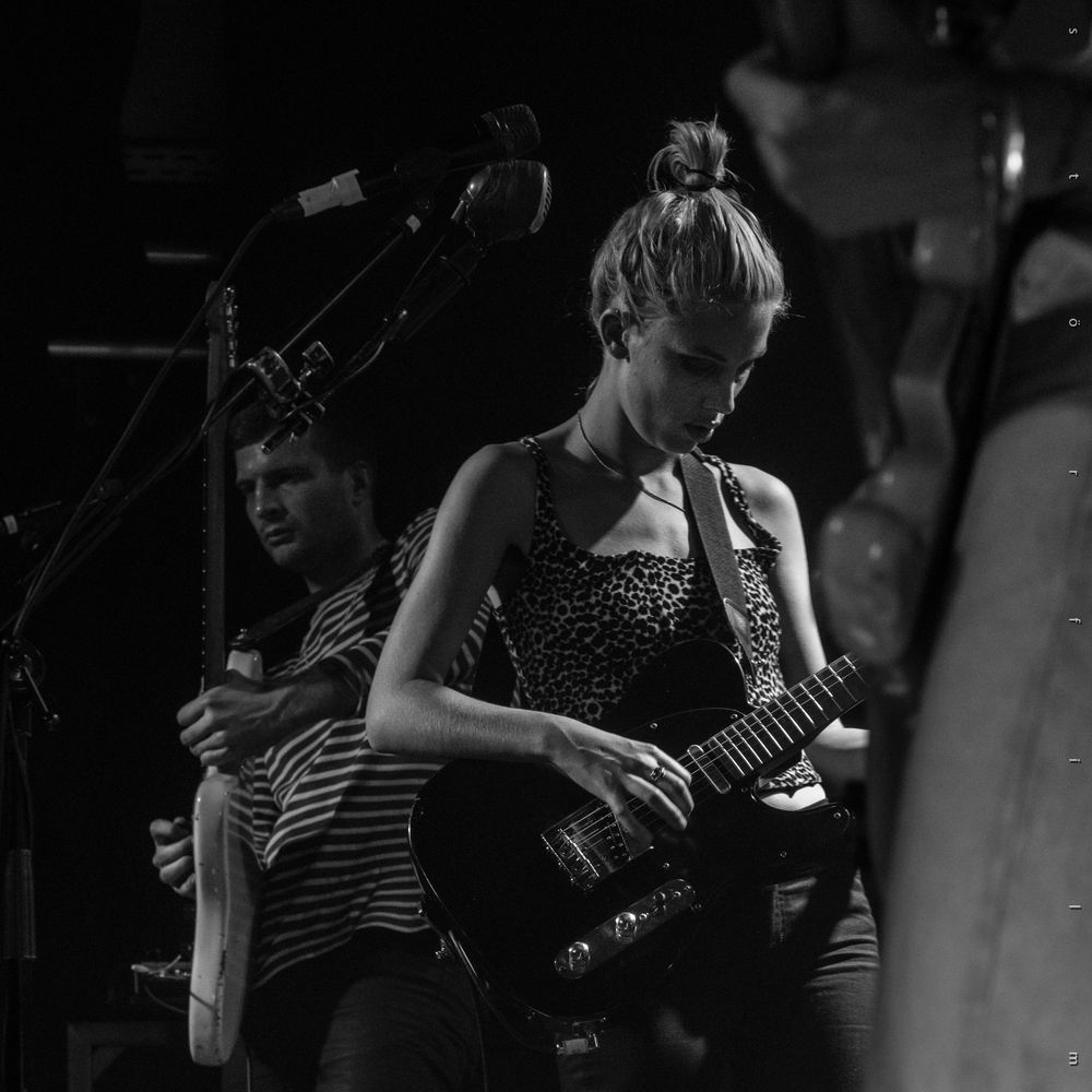 Wolf Alice Foto & Bild konzert, live, portrait Bilder auf