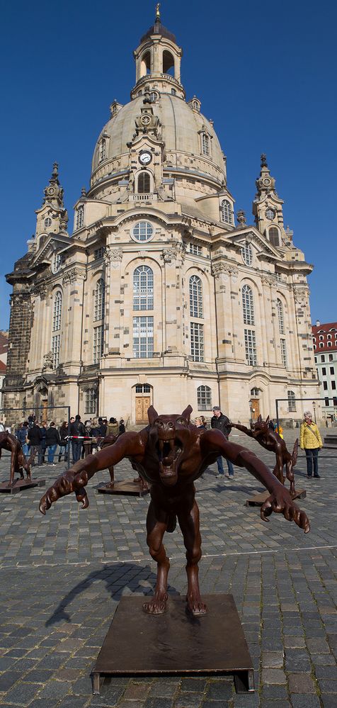 Wolf auf dem Neumarkt