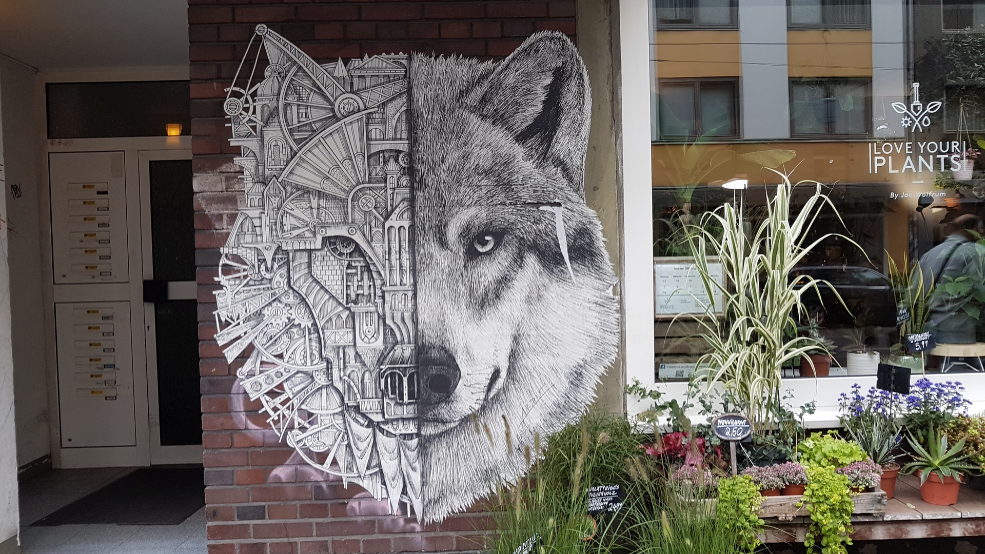 Wolf by Ardif in Düsseldorf