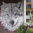 Wolf by Ardif in Düsseldorf