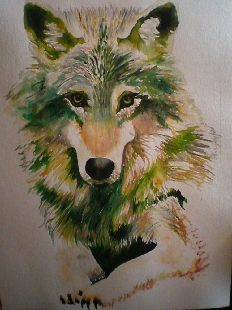 Wolf gemalt in aquarell