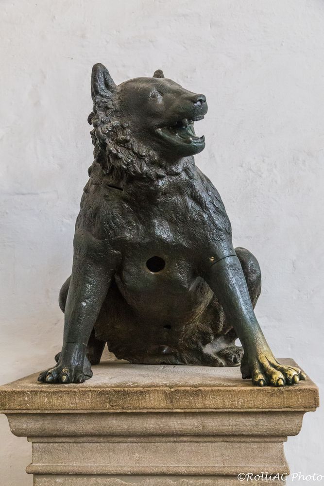 Wolf im Aachener Dom