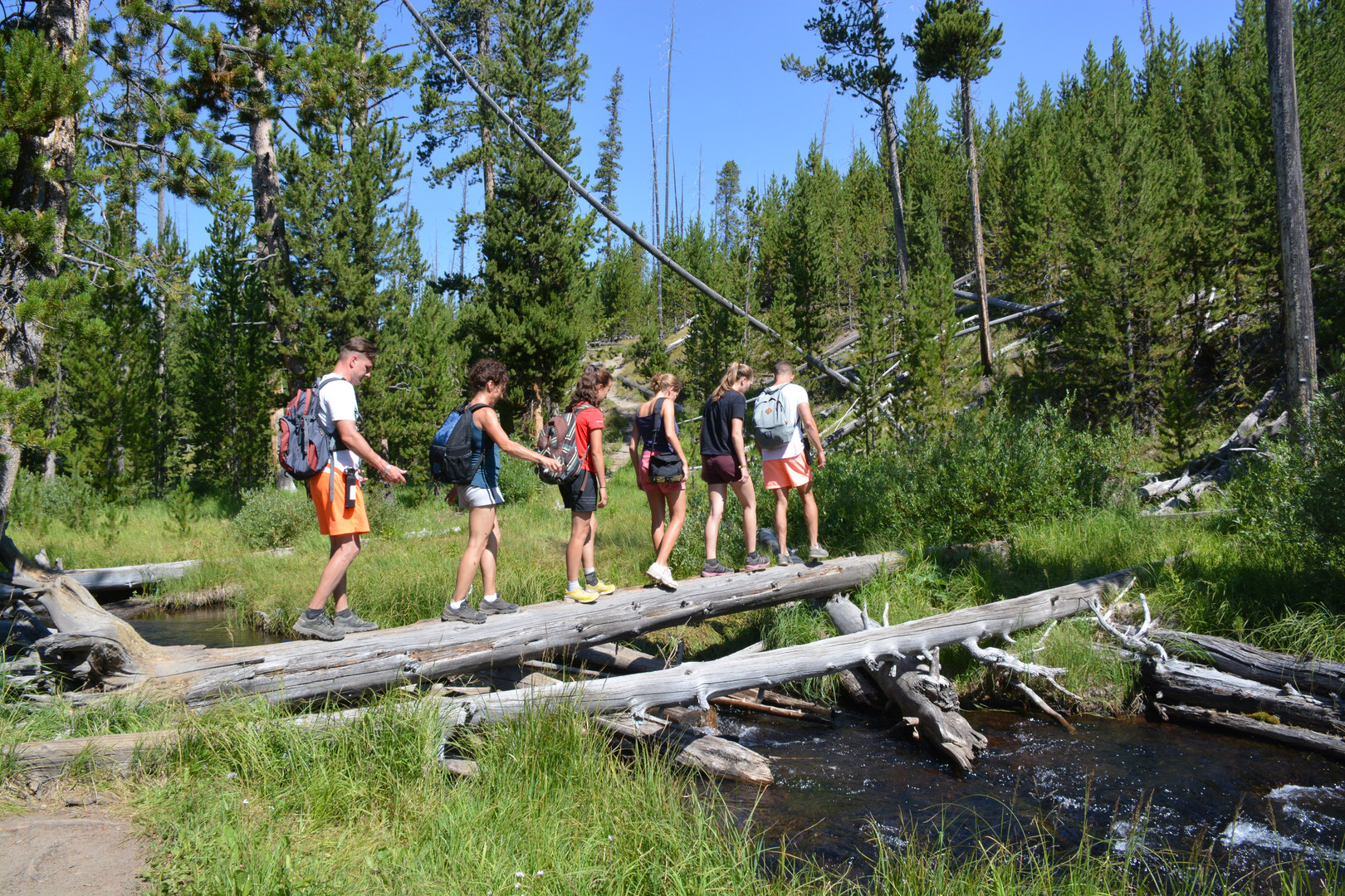 Wolf  Lake Trail im Yellowstone NP