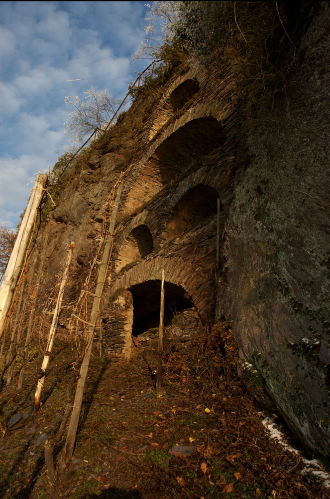 Wolf Mosel - alte Weinbaukultur