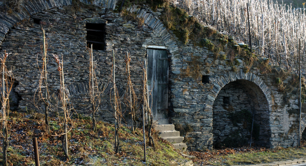 Wolf Mosel - alte Weinbaukultur