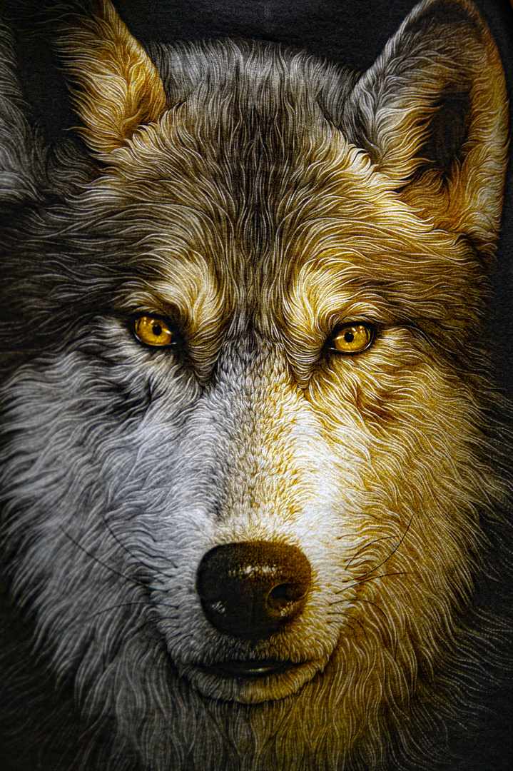 Wolf portrait on a T-shirt