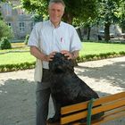 User Profile Photo