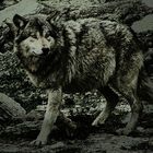Wolf (Update Version 1.10) *g*