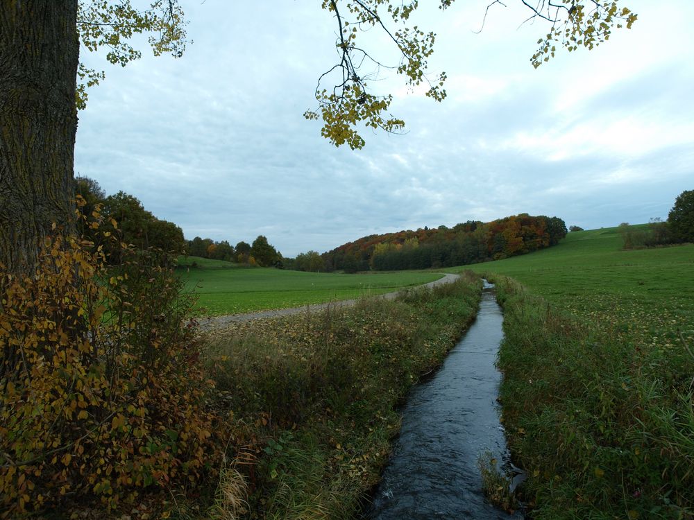 Wolfentalherbst