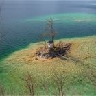 Wolfgangsee I