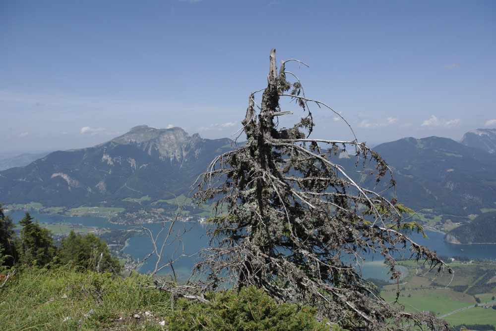 Wolfgangsee von der Bleckwand