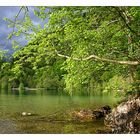 Wolfgangssee im Salzkammergut