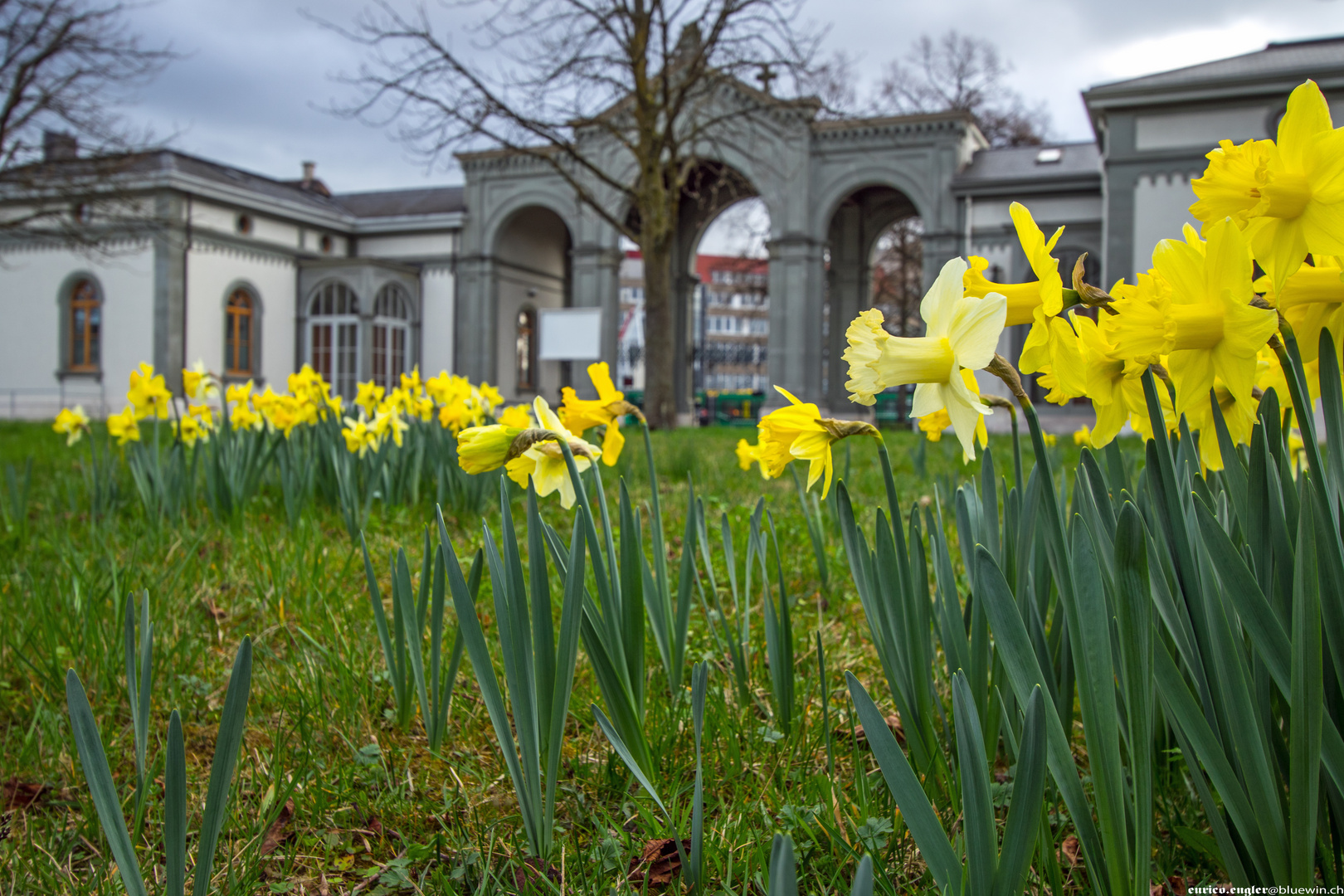 Wolfgottesacker im Frühling