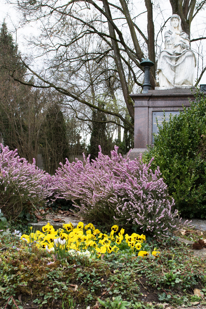 Wolfgottesacker im Frühling