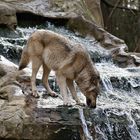 * Wolf´s Wasserfall *