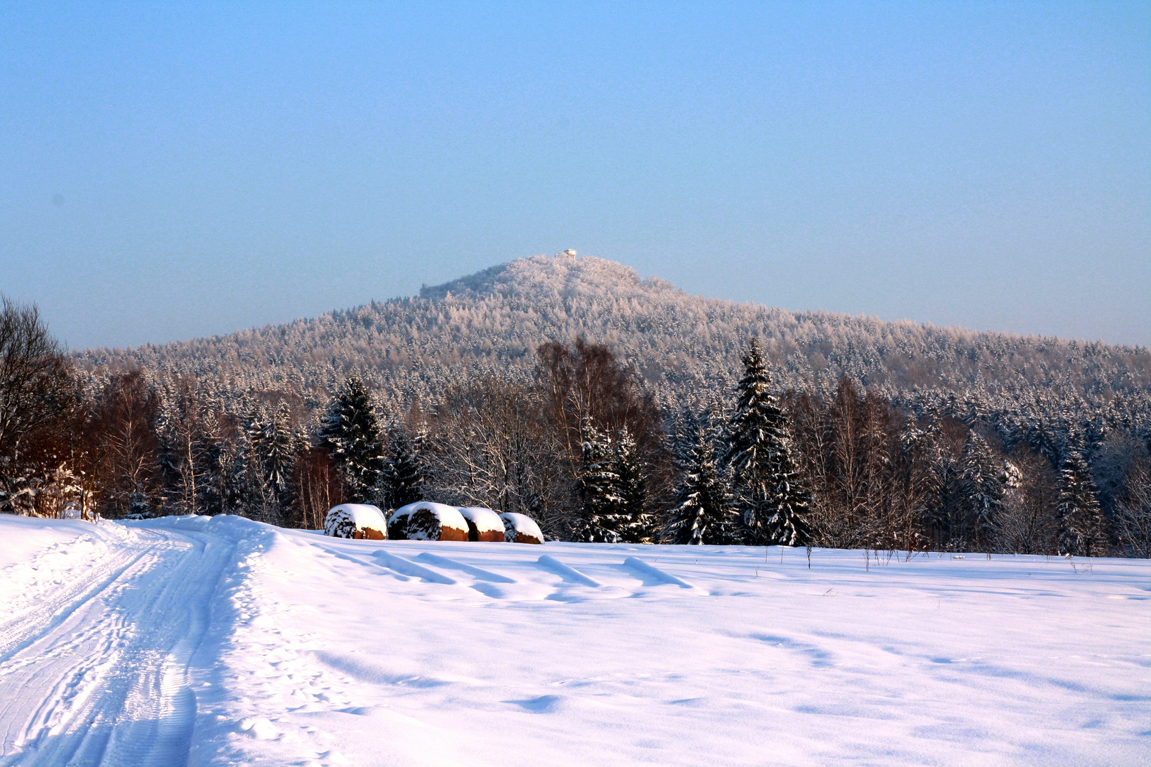 Wolfsberg