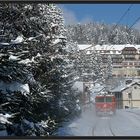 Wolfsbergkogel