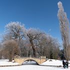 Wolfsbrücke im Wörlitzer Park