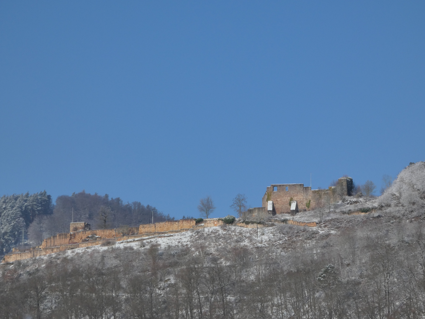 Wolfsburg Pfälzer Wald