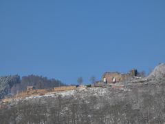 Wolfsburg Pfälzer Wald