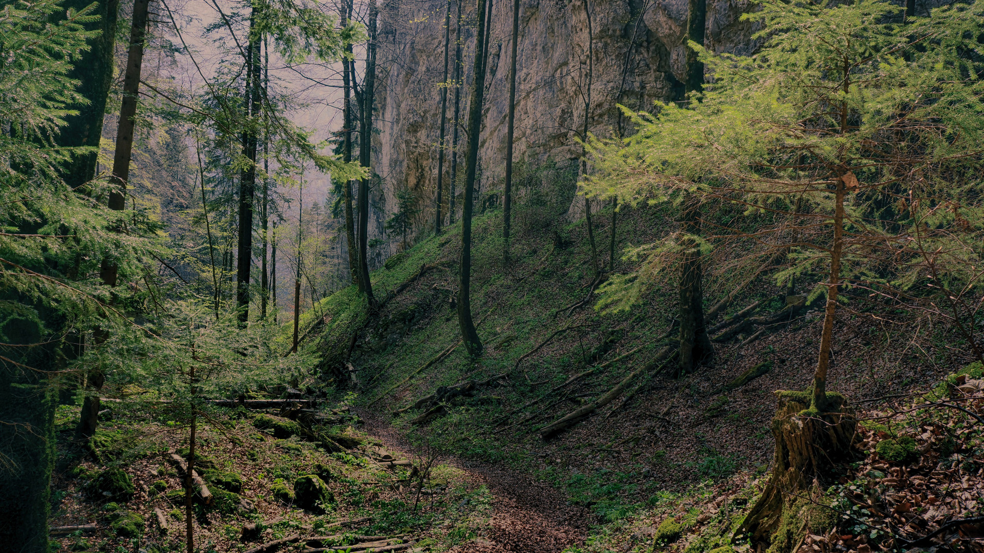 Wolfschlucht