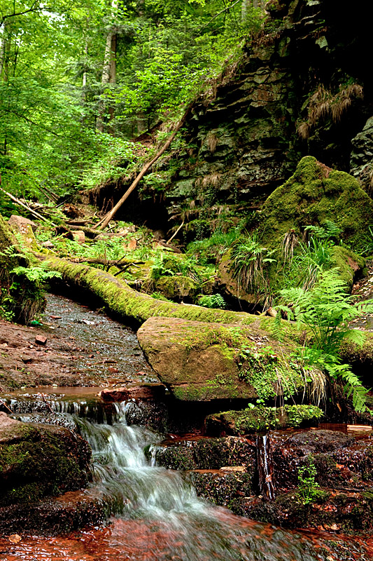 Wolfschlucht - Odenwald Fototour - Naturpark Neckartal-Odenwald