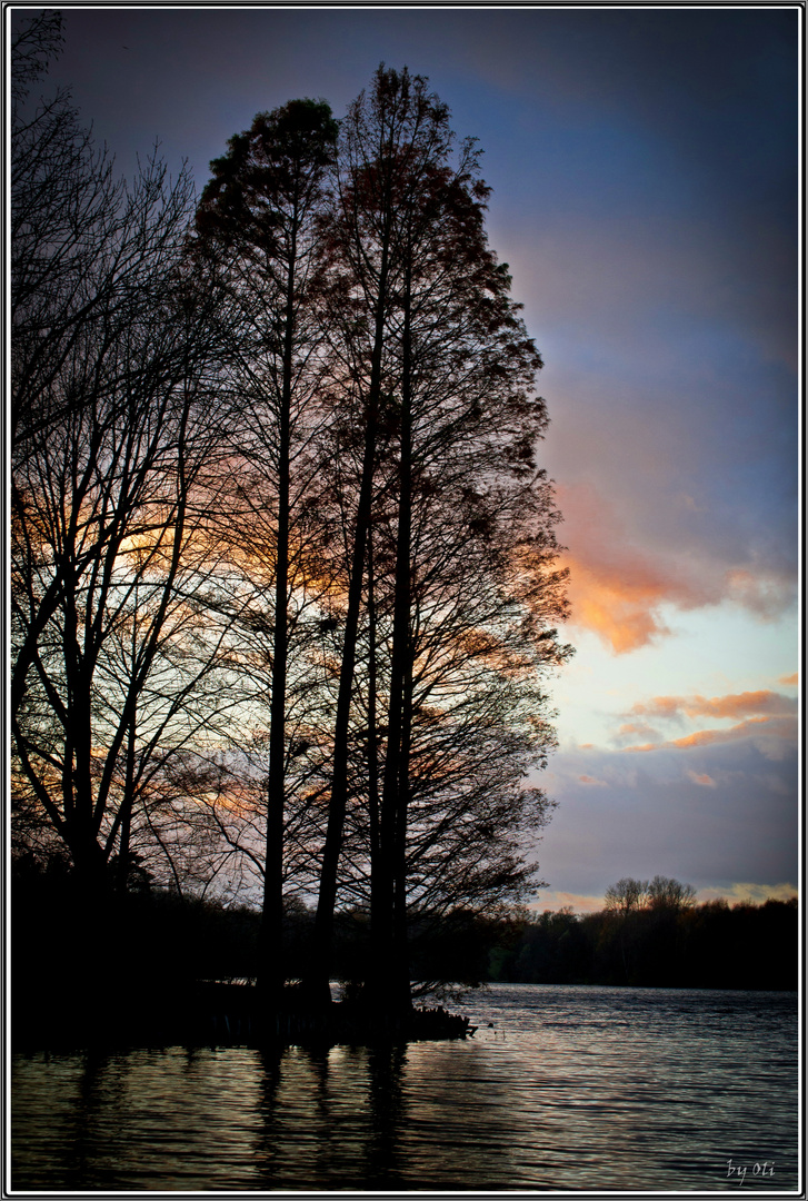 Wolfsee Duisburg im November