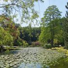 Wolfsgarten bei Langen