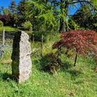 Wolfsgarten - Schlosspark