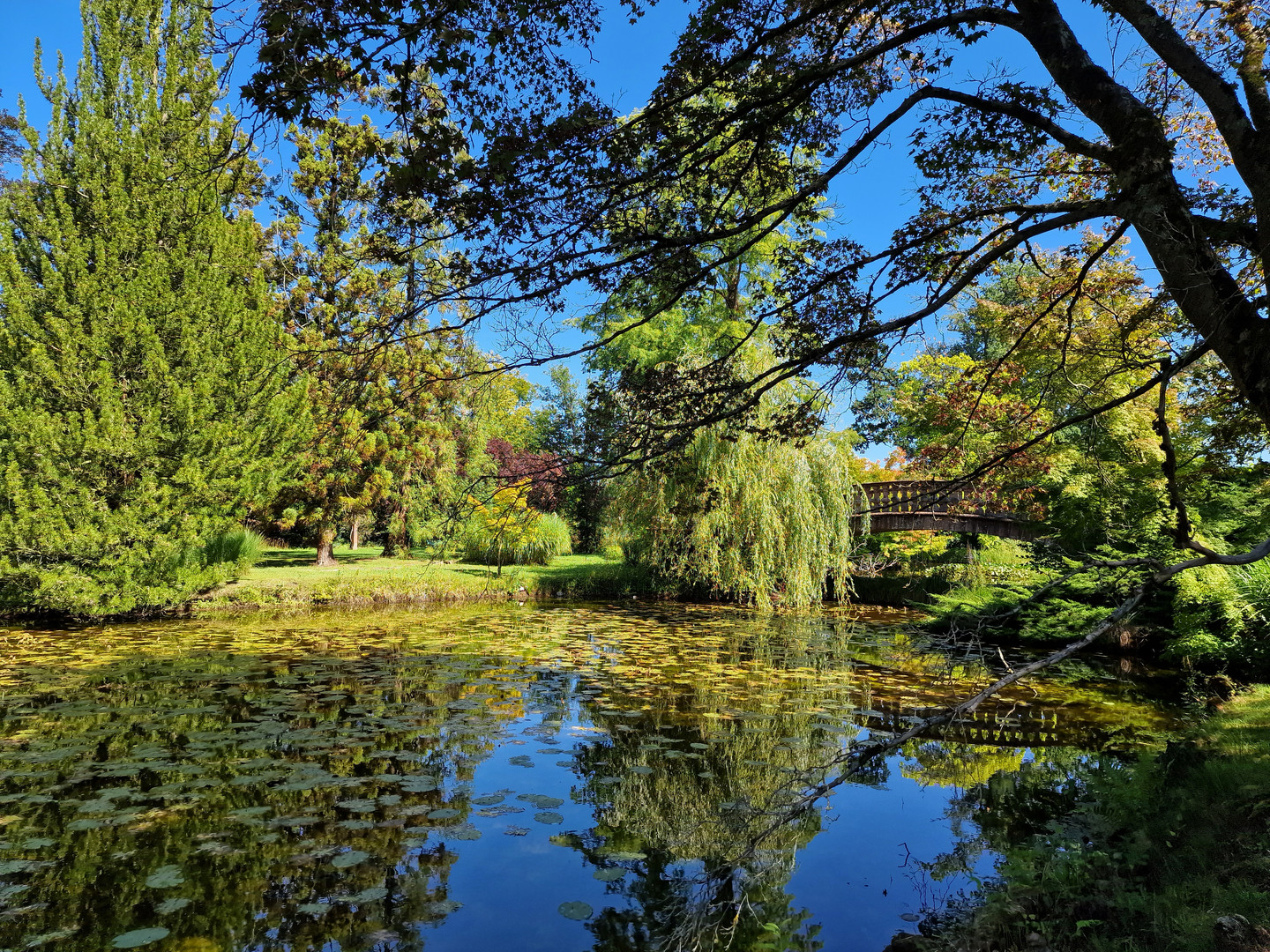 Wolfsgarten - Schlosspark