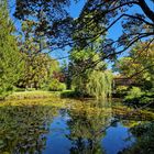 Wolfsgarten - Schlosspark