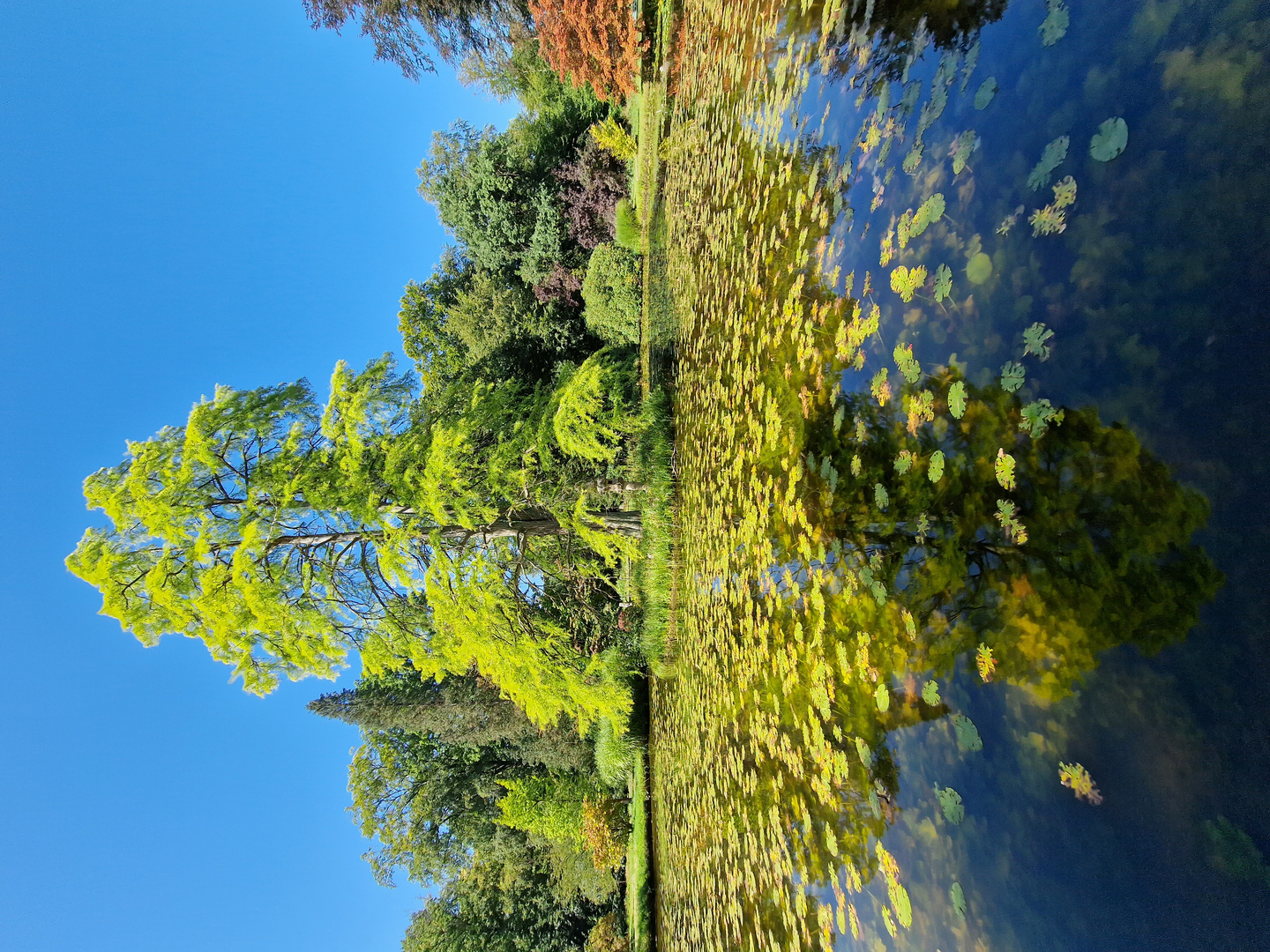 Wolfsgarten - Schlosspark