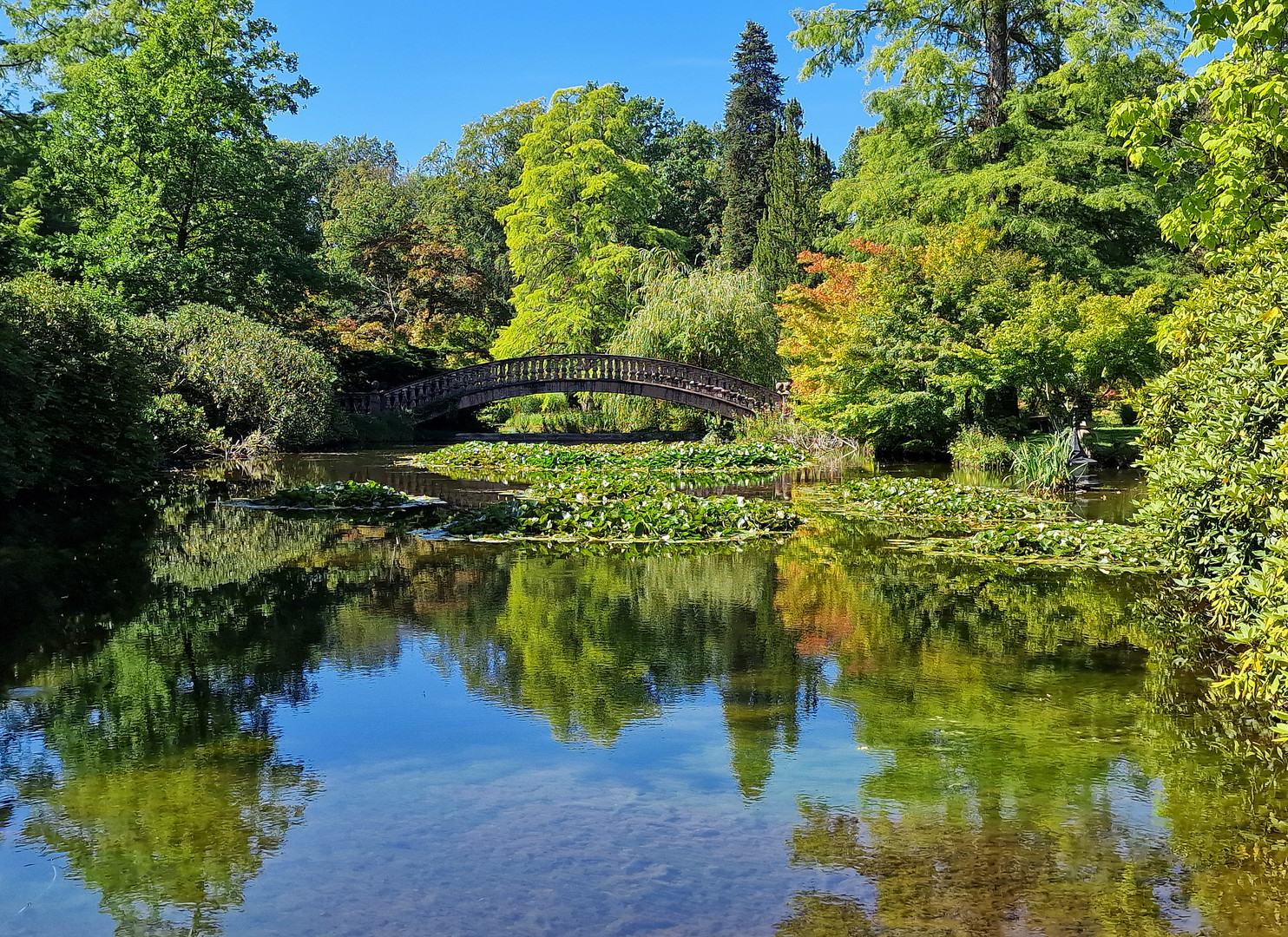 Wolfsgarten - Schlosspark