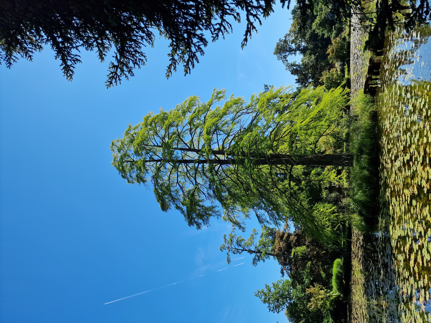 Wolfsgarten - Schlosspark