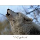 Wolfsgeheul